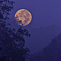 Blue Moon Rising by Rob Travis Blue Moon Rising by Rob Travis