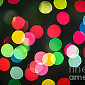 Blurred Christmas Lights by Elena Elisseeva Blurred Christmas Lights by Elena Elisseeva