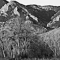 Boulder Colorado Front Range NCAR View Photograph by James BO Insogna Boulder Colorado Front Range NCAR View Photograph by James BO Insogna