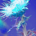 Bright Accident Photograph by Julie Lueders Bright Accident Photograph by Julie Lueders