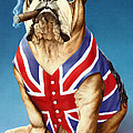 British Bulldog Photograph by MGL Meiklejohn Graphics Licensing British Bulldog Photograph by MGL Meiklejohn Graphics Licensing