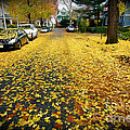 Brooklyn New York by Mark Gilman Brooklyn New York by Mark Gilman