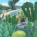 Cactus Garden by Snake Jagger Cactus Garden by Snake Jagger