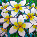 Caribbean Gems by Lisa Lorenz Caribbean Gems by Lisa Lorenz