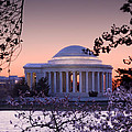 Cherry Blossom and Jefferson Memorial Weekender Tote Bag for Sale by Steven Heap