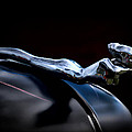 Chrome Angel by Douglas Pittman Chrome Angel by Douglas Pittman