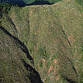 Clear Cutting, Olympic National Park by Mark Moffett Clear Cutting, Olympic National Park by Mark Moffett