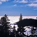 Clouds At Sequoia National Park by Stephen Whalen Clouds At Sequoia National Park by Stephen Whalen