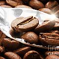 Coffee beans on a spoon Photograph by Simon Bratt Coffee beans on a spoon Photograph by Simon Bratt