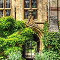 College Garden Photograph by Yhun Suarez College Garden Photograph by Yhun Suarez