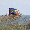 Color And Wind Photograph by Kim Galluzzo Wozniak Color And Wind Photograph by Kim Galluzzo Wozniak