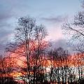 Colors Of Sunset Photograph by Kim Galluzzo Wozniak Colors Of Sunset Photograph by Kim Galluzzo Wozniak