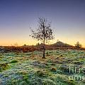 Colours Of Dawn Photograph by Yhun Suarez Colours Of Dawn Photograph by Yhun Suarez