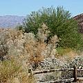 'Desert Fence' Photograph by PJQandFriends Photography 'Desert Fence' Photograph by PJQandFriends Photography