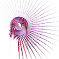 Dreamcatcher by Ann Garrett Dreamcatcher by Ann Garrett
