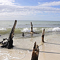 Driftwood Stands Watch by Christine Stonebridge Driftwood Stands Watch by Christine Stonebridge