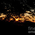Drive By Sunset by Diego Re Drive By Sunset by Diego Re