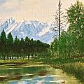 Duck Pond Painting by Frank SantAgata Duck Pond Painting by Frank SantAgata