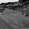 Dune fencing Photograph by Kim Galluzzo Wozniak Dune fencing Photograph by Kim Galluzzo Wozniak