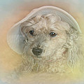 Emily's Bonnet by Diana Haronis Emily's Bonnet by Diana Haronis