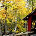 Fall in New England Photograph by Kim Galluzzo Wozniak Fall in New England Photograph by Kim Galluzzo Wozniak