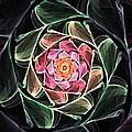 Fantasy Floral Expression 111311 by David Lane Fantasy Floral Expression 111311 by David Lane