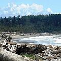 First Beach La Push Photograph by Kelly Manning