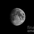 First Quarter Moon Photograph by Yhun Suarez First Quarter Moon Photograph by Yhun Suarez
