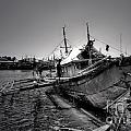 Fisherman's Pride Photograph by Yhun Suarez Fisherman's Pride Photograph by Yhun Suarez