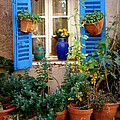 Flower Pots Galore by Lainie Wrightson Flower Pots Galore by Lainie Wrightson
