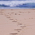 Footprints by Michelle Wrighton
