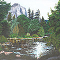 Frog's Eye View by Travis Day Frog's Eye View by Travis Day