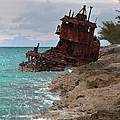 Gallant Lady Shipwreck Photograph by Ed Gleichman Gallant Lady Shipwreck Photograph by Ed Gleichman