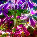 Ghosting Blooms Photograph by Bill and Linda Tiepelman Ghosting Blooms Photograph by Bill and Linda Tiepelman