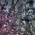 Gothic Paris by Jennifer Ancker Gothic Paris by Jennifer Ancker