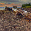 Have A Seat by Brian Fisher Have A Seat by Brian Fisher