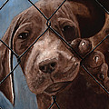 Help Release Me I Painting by Vic Ritchey Help Release Me I Painting by Vic Ritchey