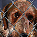 Help Release Me II Painting by Vic Ritchey Help Release Me II Painting by Vic Ritchey