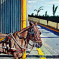 Horse in Malate by Christopher Shellhammer Horse in Malate by Christopher Shellhammer