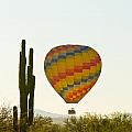 Hot Air Balloon In the Arizona Desert With Giant Saguaro Cactus Photograph by James BO Insogna Hot Air Balloon In the Arizona Desert With Giant Saguaro Cactus Photograph by James BO Insogna