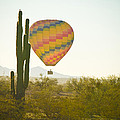 Hot Air Balloon over the Arizona Desert With Giant Saguaro Photograph by James BO Insogna Hot Air Balloon over the Arizona Desert With Giant Saguaro Photograph by James BO Insogna