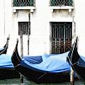 Idle Gondolas Photograph by Vicki Hone Smith