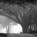 In to the Unknown Photograph by Farol Tomson In to the Unknown Photograph by Farol Tomson