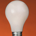 Incandescent Light Bulb Photograph by Photo Researchers, Inc. Incandescent Light Bulb Photograph by Photo Researchers, Inc.