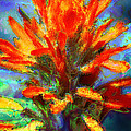 Indian Paintbrush Photograph by Julie Lueders Indian Paintbrush Photograph by Julie Lueders