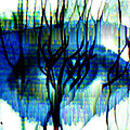 Iris Digital Art by Seth Weaver Iris Digital Art by Seth Weaver