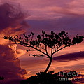 Leeward Oahu by Mark Gilman Leeward Oahu by Mark Gilman