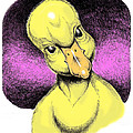 Quackers Chico