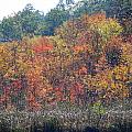 Looks Like A Painting Photograph by Kim Galluzzo Wozniak Looks Like A Painting Photograph by Kim Galluzzo Wozniak