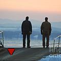 Lost hope Photograph by Dejan Jovanovic Lost hope Photograph by Dejan Jovanovic